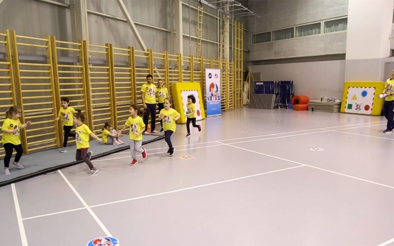 Osa, vrabac, komarac 2